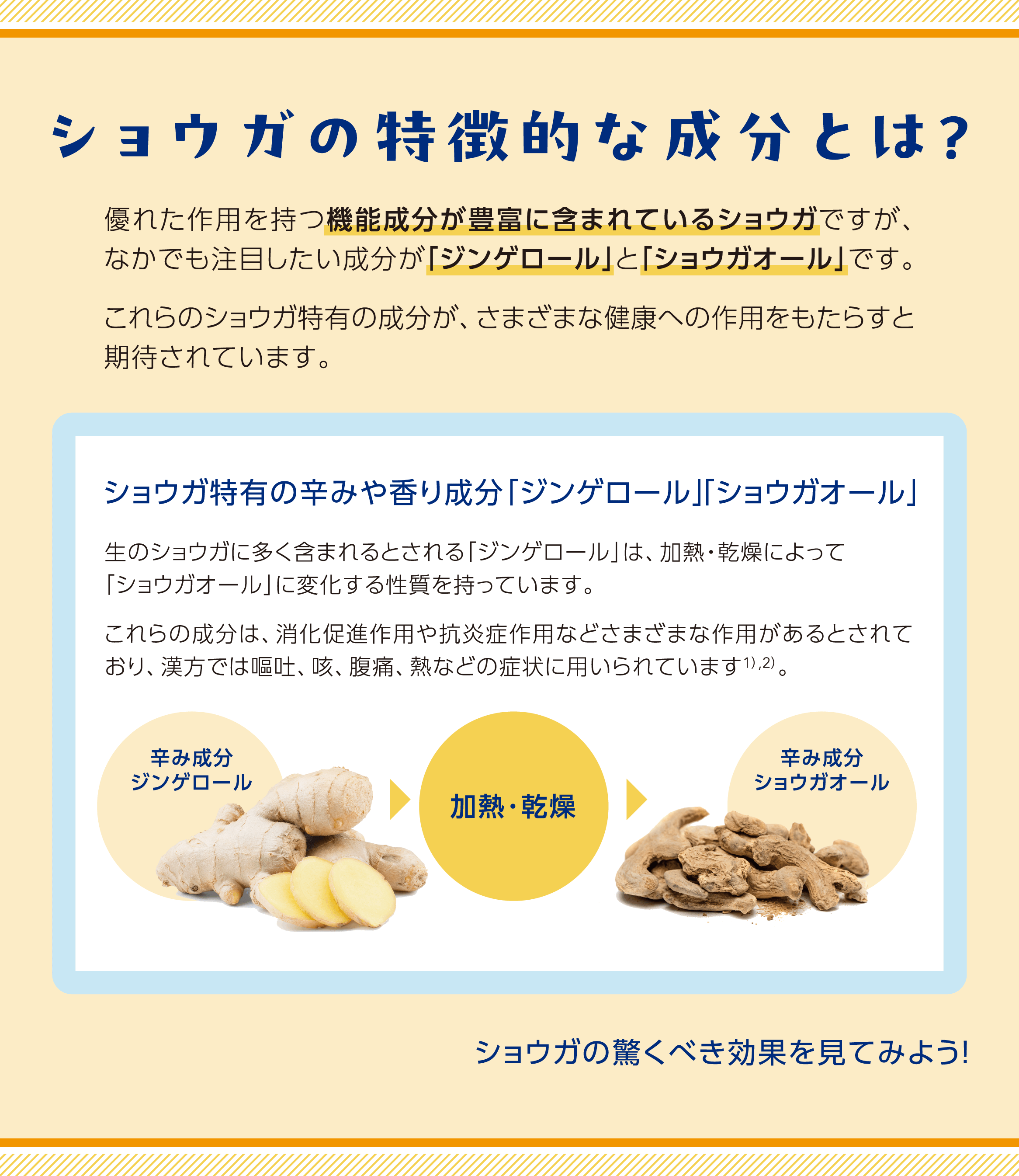 ショウガの特徴的な成分とは？